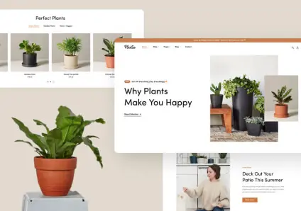 plant